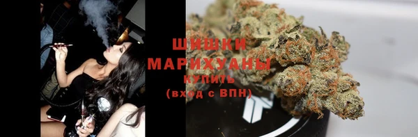 ГАЛЛЮЦИНОГЕННЫЕ ГРИБЫ Алексеевка
