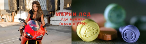 прущий лед Алзамай