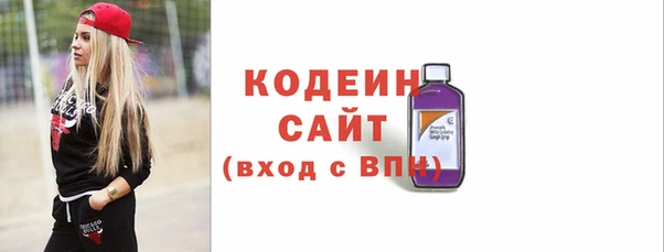 прущий лед Алзамай