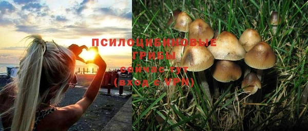 прущий лед Алзамай