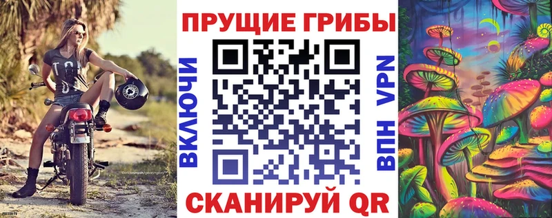 Псилоцибиновые грибы прущие грибы  наркошоп  МЕГА ТОР  Аркадак 
